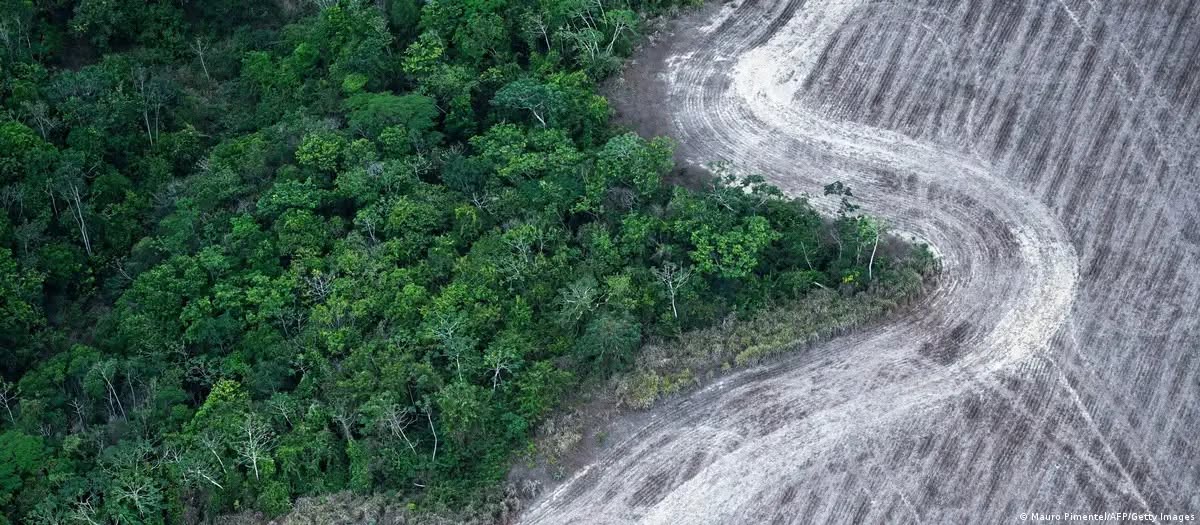 Desmatamento na Amazônia atinge menor nível em uma década