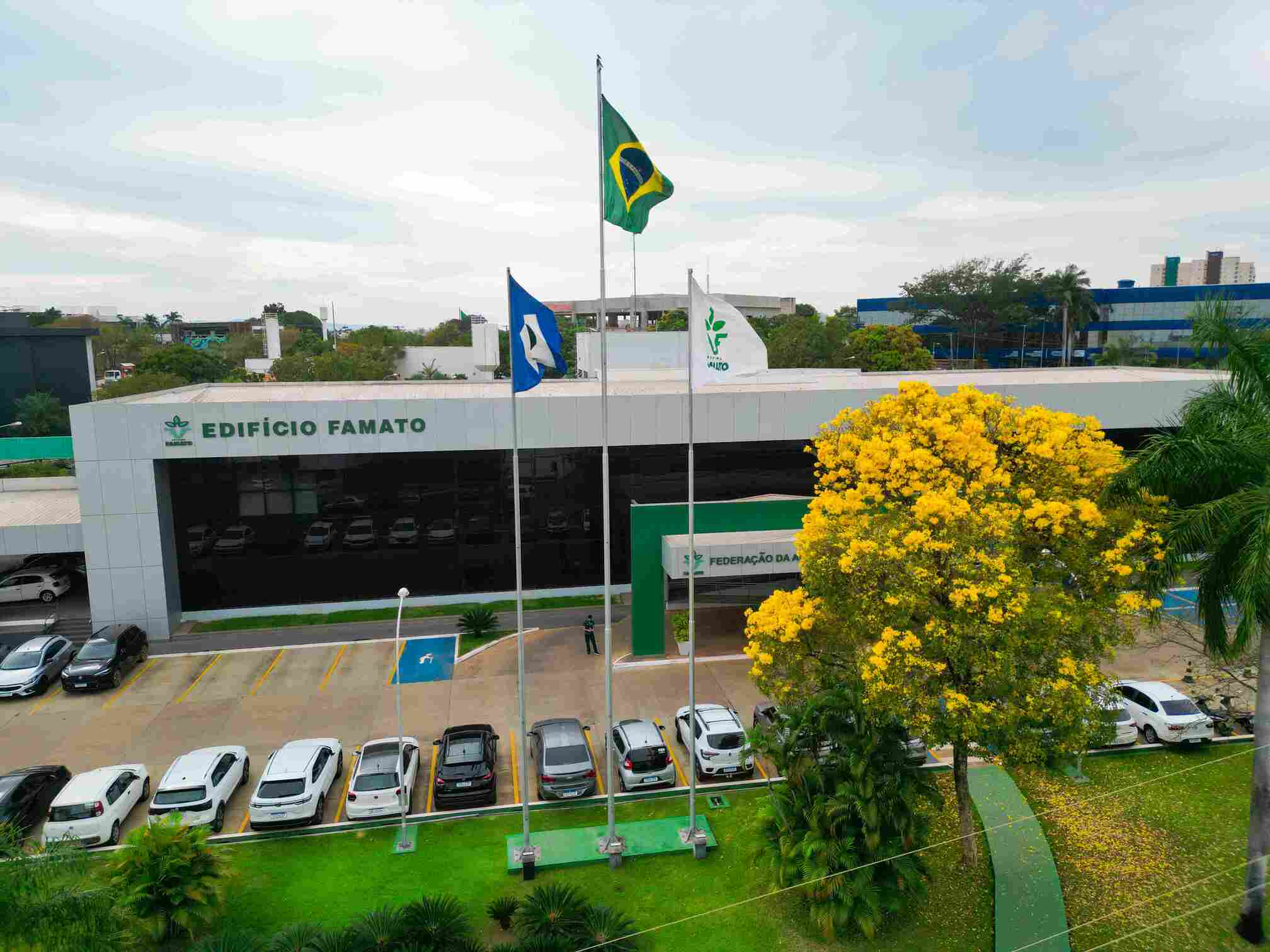 Famato manifesta preocupação com decisão do STF sobre a Moratória da Soja