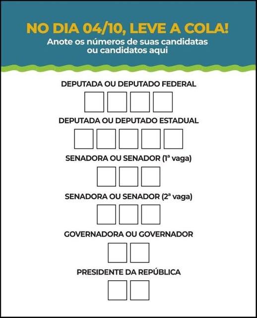Colinha pode ajudar eleitor a evitar erros na hora de votar em 2026