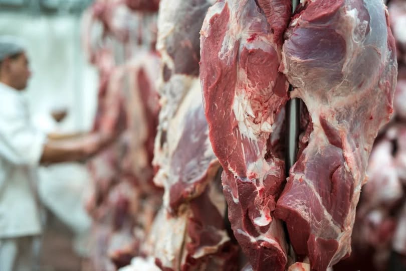 MARGENS APERTADAS: Ganhos com aumento das exportações de carne aos EUA serão limitados, reconhece Abiec