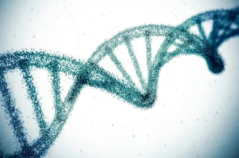 Com a simples remoção de um gene, cientistas esperam eliminar o colesterol alto para sempre