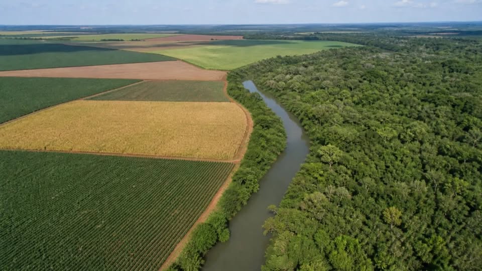 Senado aprova regras para regularização ambiental de propriedades rurais