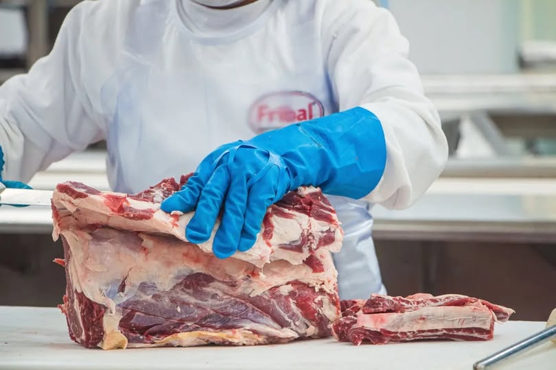 Abate de fêmeas cai 30,8% em agosto, aponta Safras & Mercado