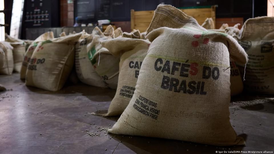 Do grão à xícara: como café brasileiro vira "produto alemão"
