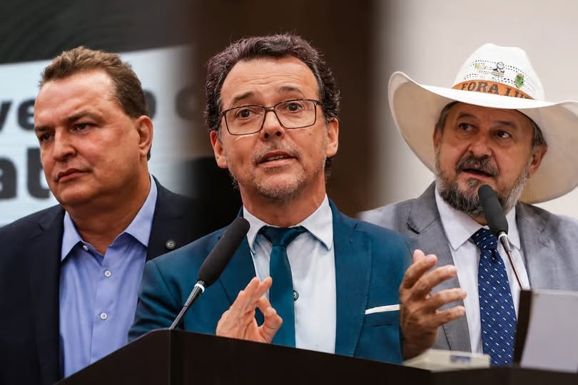 Conheça os eleitos em Mato Grosso