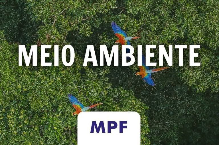 13 anos após a Convenção de Minamata, MPF ainda atua para combater impactos do mercúrio na Amazônia