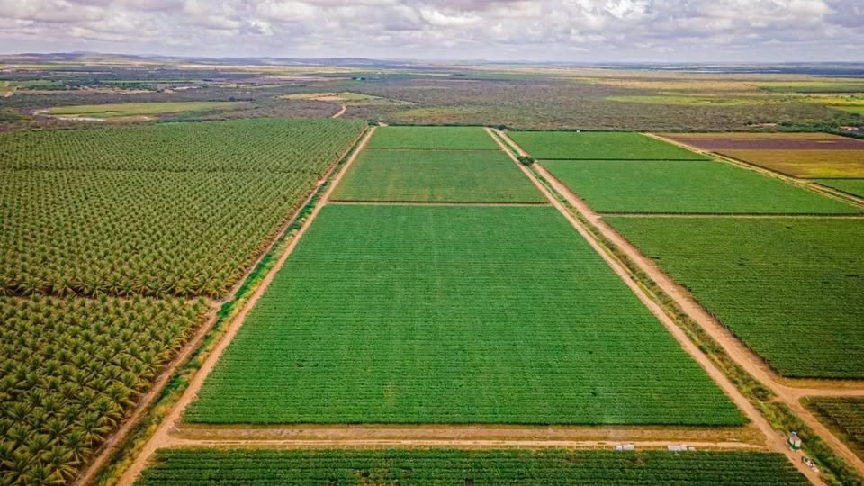 Incêndio atinge área de reserva legal de fazenda da Terra Santa em MT