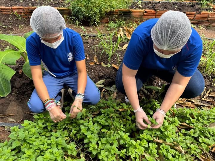 CIÊNCIA E SUSTENTABILIDADE: Escola do campo transforma plantas do Cerrado em pomadas naturais e aproxima alunos da ciência