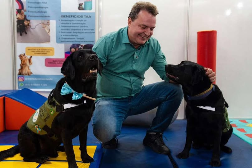 CAUSA ANIMAL: Max propõe criação de censo para mapear população de cães e gatos em MT