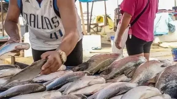 Reabertura do mercado europeu pode ampliar exportações de pescado em 20%