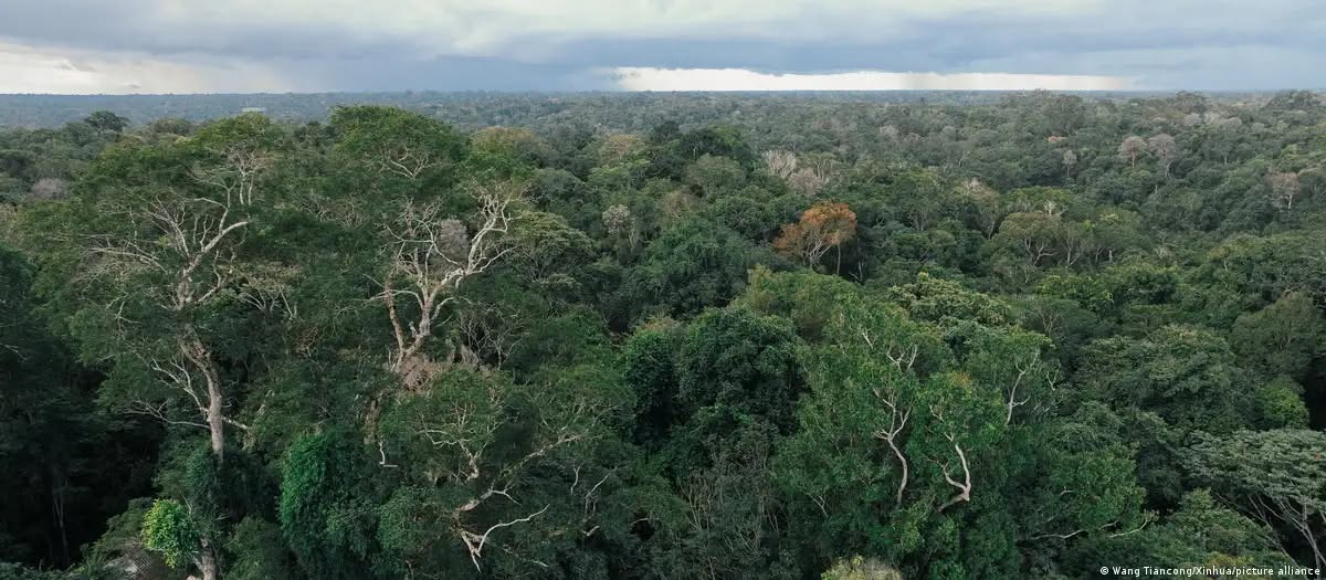Brasil reduz emissões de gases do efeito estufa por 3° ano consecutivo