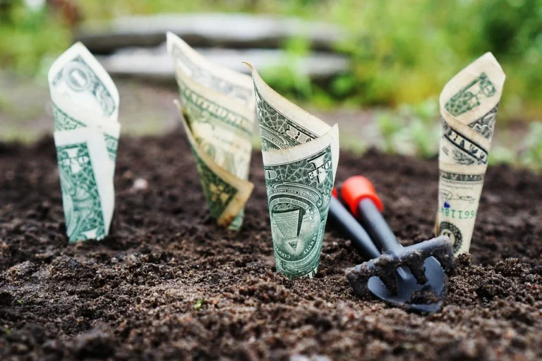 Dólar acima de R$ 5,60 acende alerta para preços no agro, diz especialista