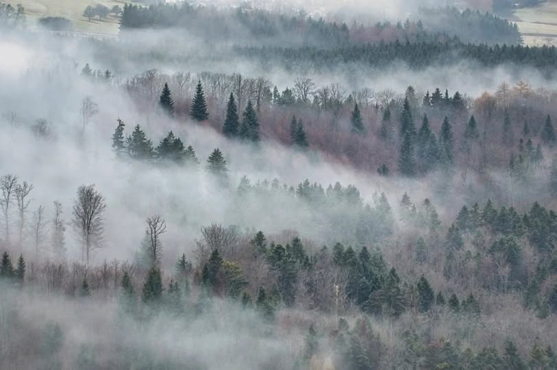 Semana tem avanço de frente fria, chuva de até 80 mm e geada